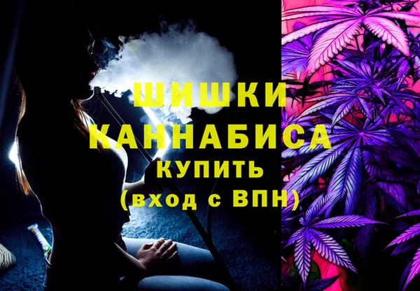 индика Абдулино
