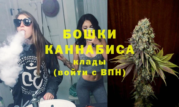 индика Абдулино