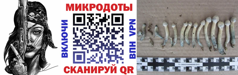 хочу   Егорьевск  Галлюциногенные грибы прущие грибы 