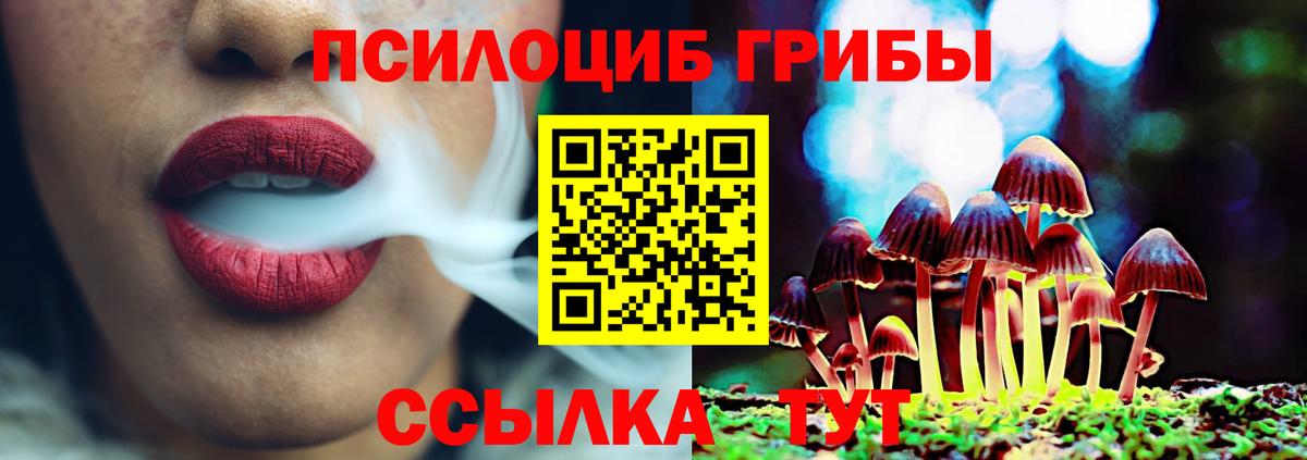 Егорьевск  Галлюциногенные грибы Psilocybine cubensis  Вход с VPN 